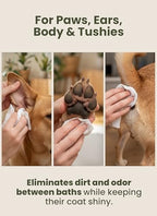 Pogi's Dog Grooming Wipes for Paws & Butt, Fragrance Free, 100 Wipes 100-Count Wipes Unscented