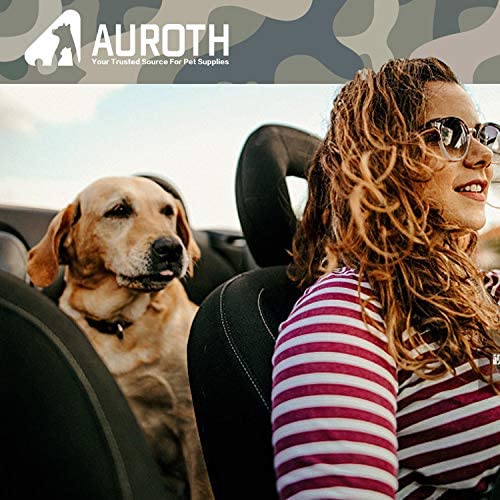AUROTH Bungee Dog Leash for Large Dogs, No Pull for Shock Absorption Army Yellow MAX: 4.5 FT