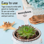 Self Watering Globes for Plant, 10pcs Auto Watering Bulb for Indoor Outdoor A. Blue-6L4S