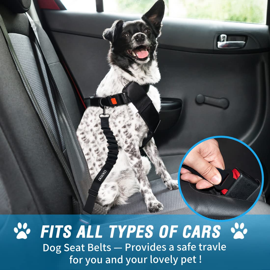 COOYOO Dog Seat Belt,3 Piece Set Retractable Dog Car Harness Adjustable for Vehicle Nylon Pet Safety Heavy Duty & Elastic Set 03-Black+Blue