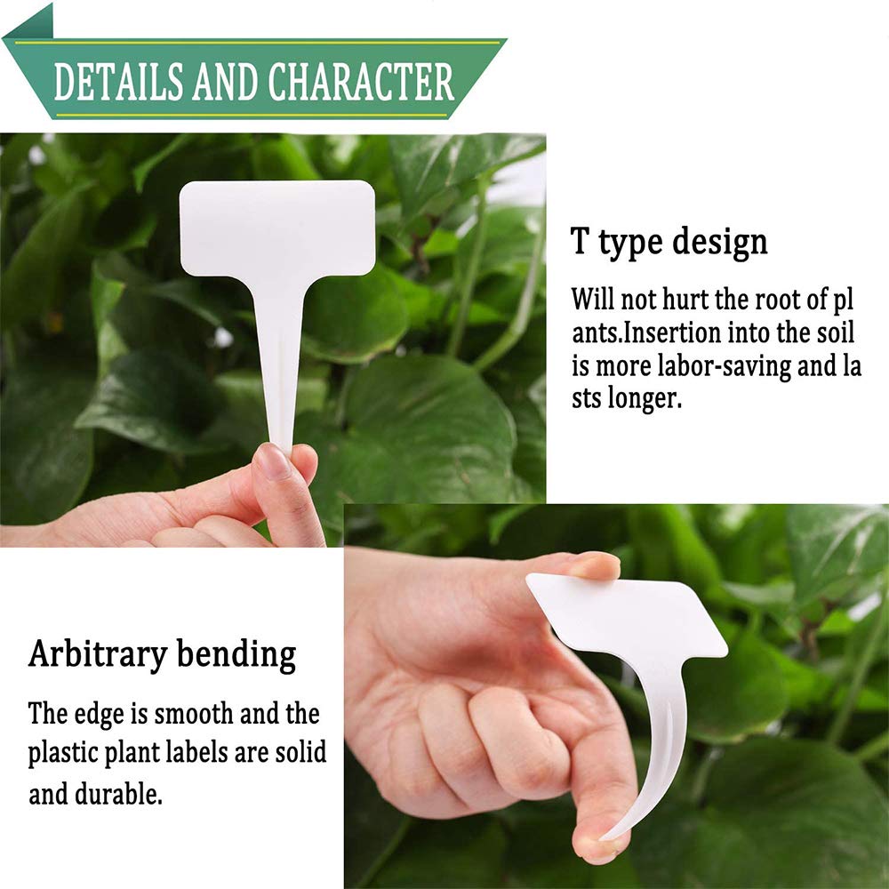Self Watering Globes for Plant, 10pcs Auto Watering Bulb for Indoor Outdoor A. Blue-6L4S