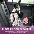 COOYOO Dog Seat Belt,3 Piece Set Retractable Dog Car Harness Adjustable for Vehicle Nylon Pet Safety Heavy Duty & Elastic Set 03-Black+Blue