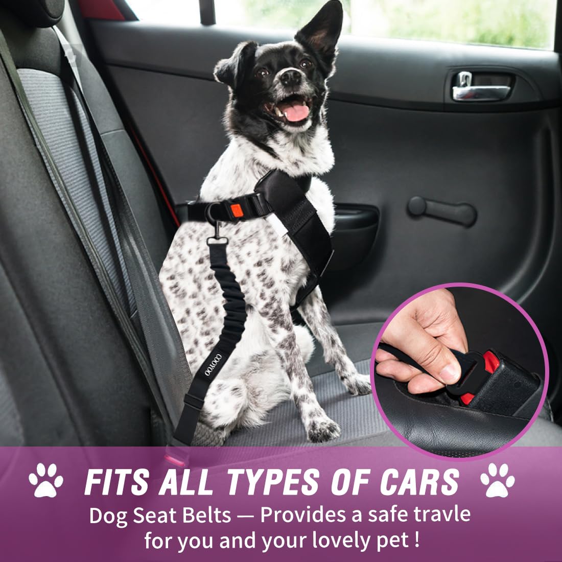 COOYOO Dog Seat Belt,3 Piece Set Retractable Dog Car Harness Adjustable for Vehicle Nylon Pet Safety Heavy Duty & Elastic Set 03-Black+Blue
