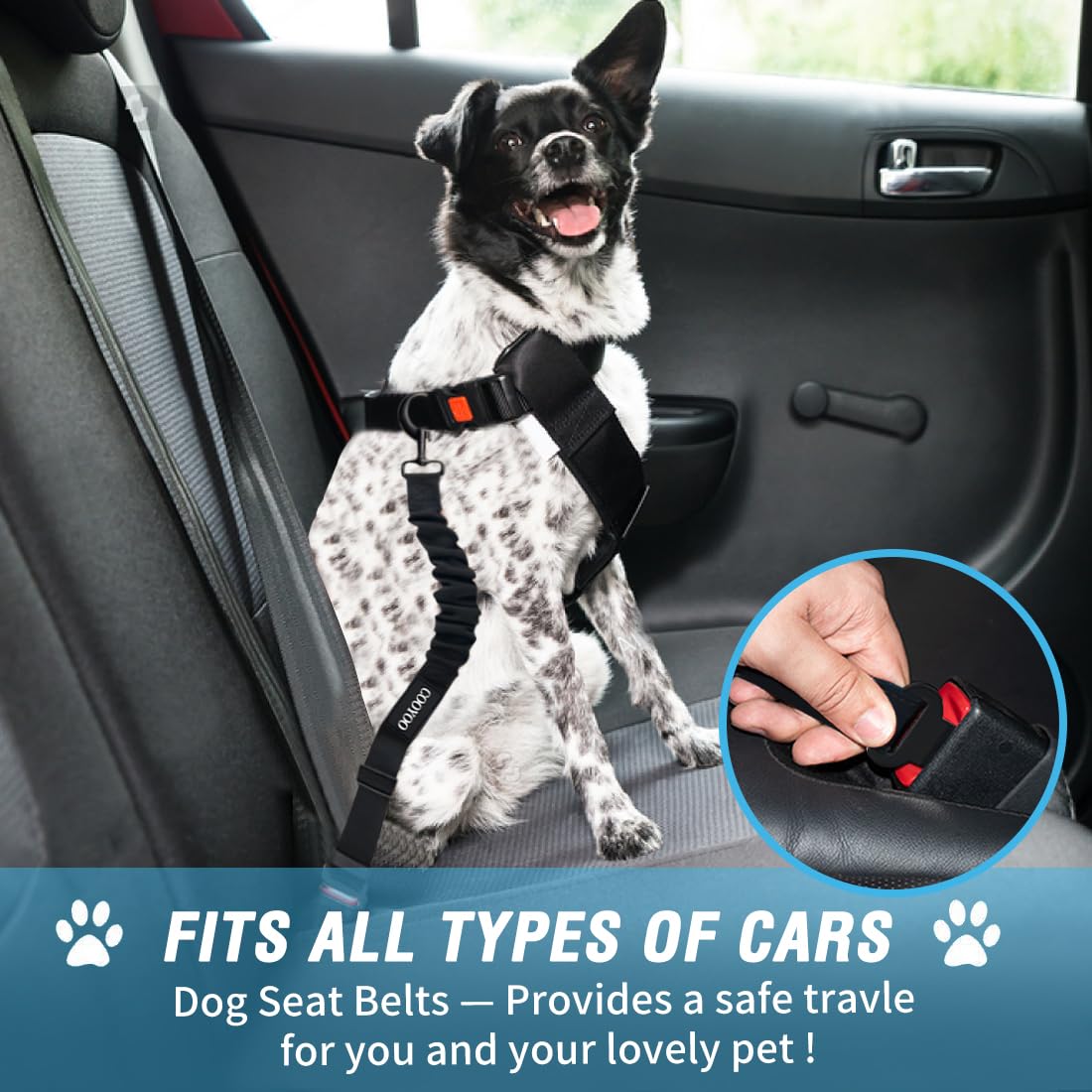 COOYOO Dog Seat Belt,3 Piece Set Retractable Dog Car Harness Adjustable for Vehicle Nylon Pet Safety Heavy Duty & Elastic Set 03-Black+Blue