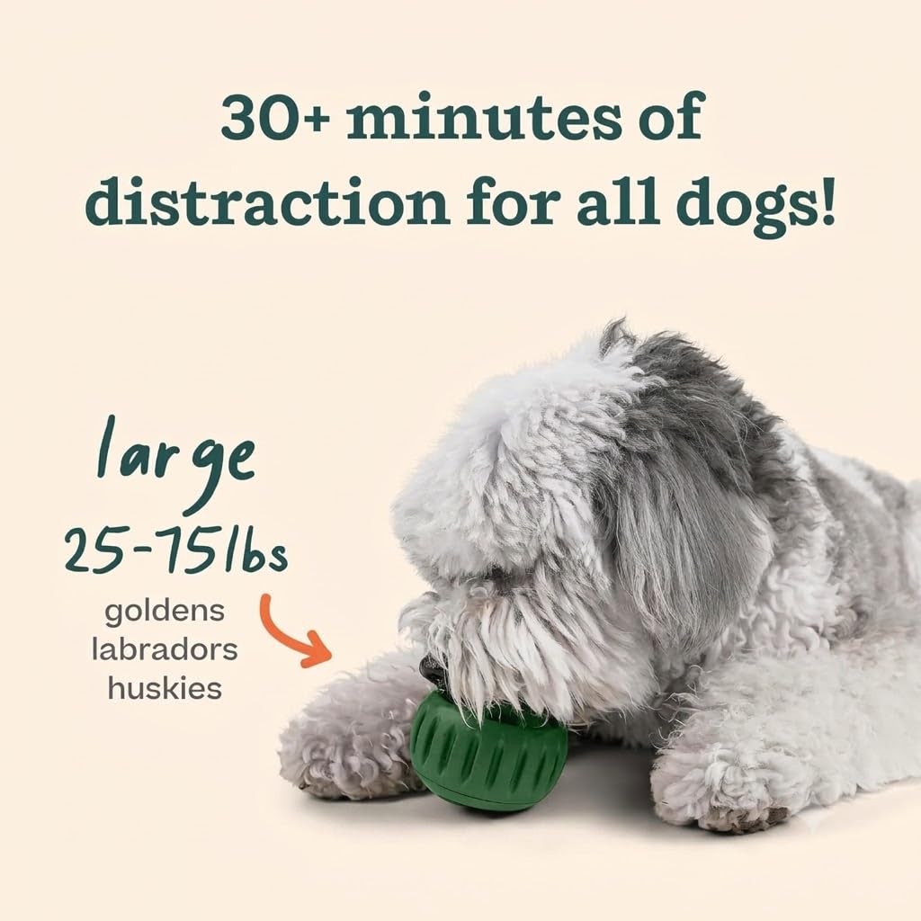 WOOF Starter Pack Dog Treat Toy for Large Dogs 25-75 lbs Large Starter Pack - Chicken