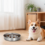 Slow Feeder Dog Bowl, 2 Cups Stainless Steel Heavy Duty Bowl Non-Slip Base