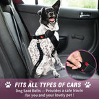 COOYOO Dog Seat Belt,3 Piece Set Retractable Dog Car Harness Adjustable for Vehicle Nylon Pet Safety Heavy Duty & Elastic Set 03-Black+Blue