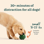 WOOF Starter Pack Dog Treat Toy for Large Dogs 25-75 lbs Large Starter Pack - Chicken