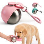 Portable Stainless Steel Dog Water Bottle with Foldable Silicone Bowl