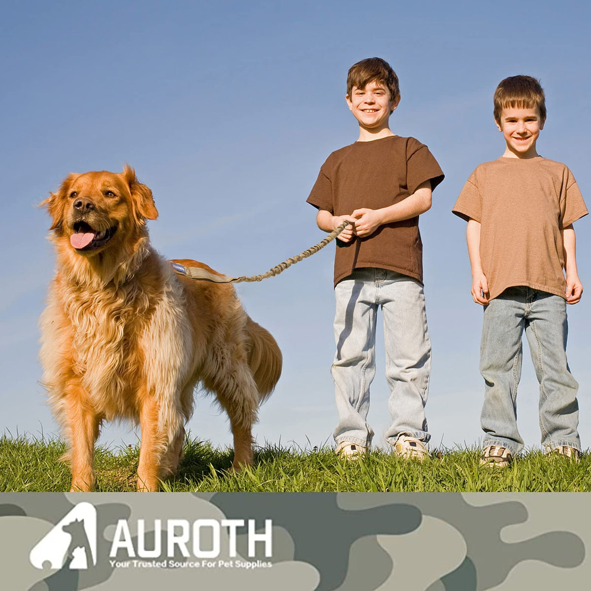 AUROTH Bungee Dog Leash for Large Dogs, No Pull Shock Absorption