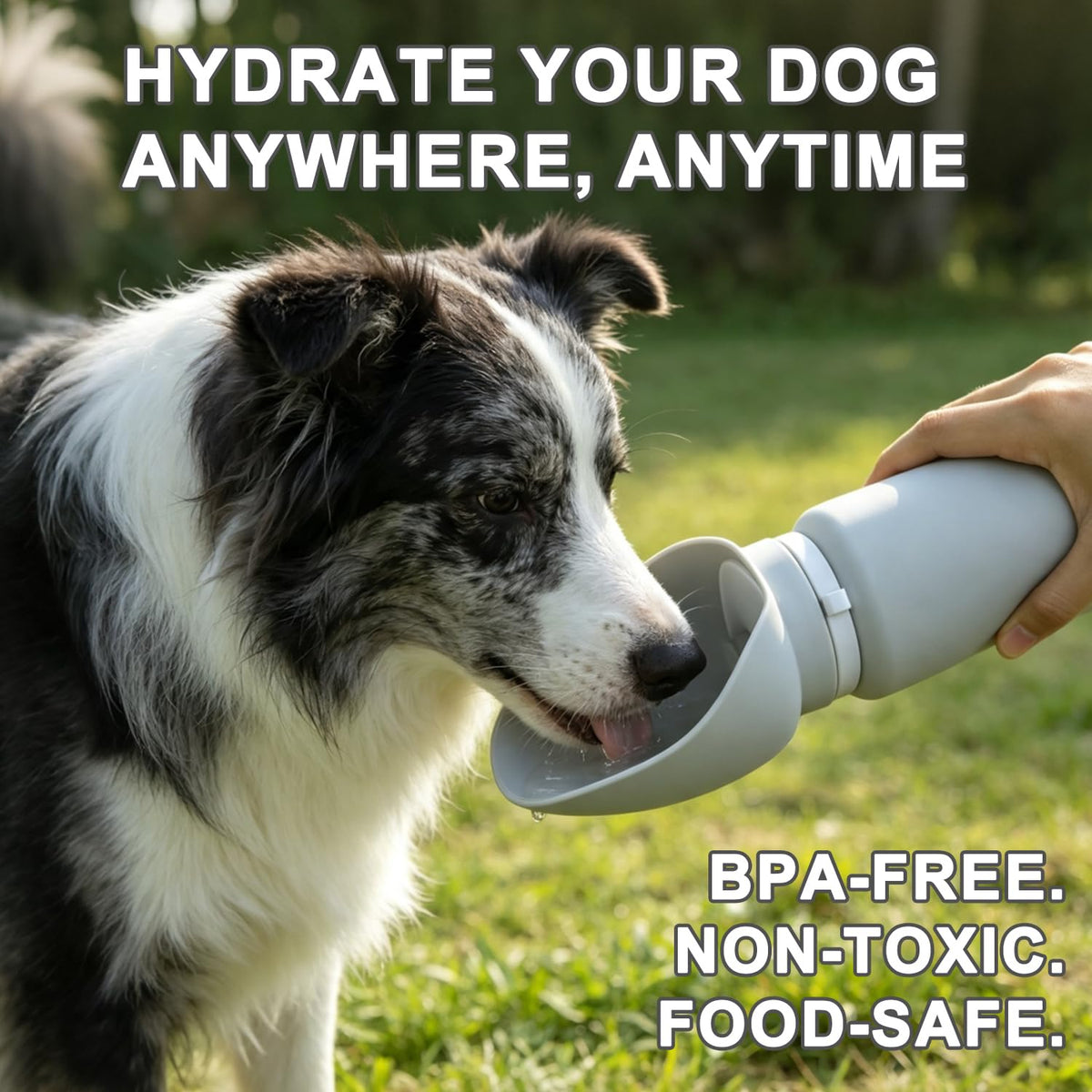 Portable Water Bottle for Dogs, Water Bottle for Walking Hiking and Outdoor