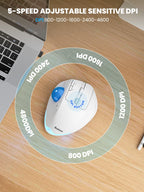 Ergonomic Wireless Trackball Mouse, Rechargeable Adjustable 0°/18° Angle Gray ball
