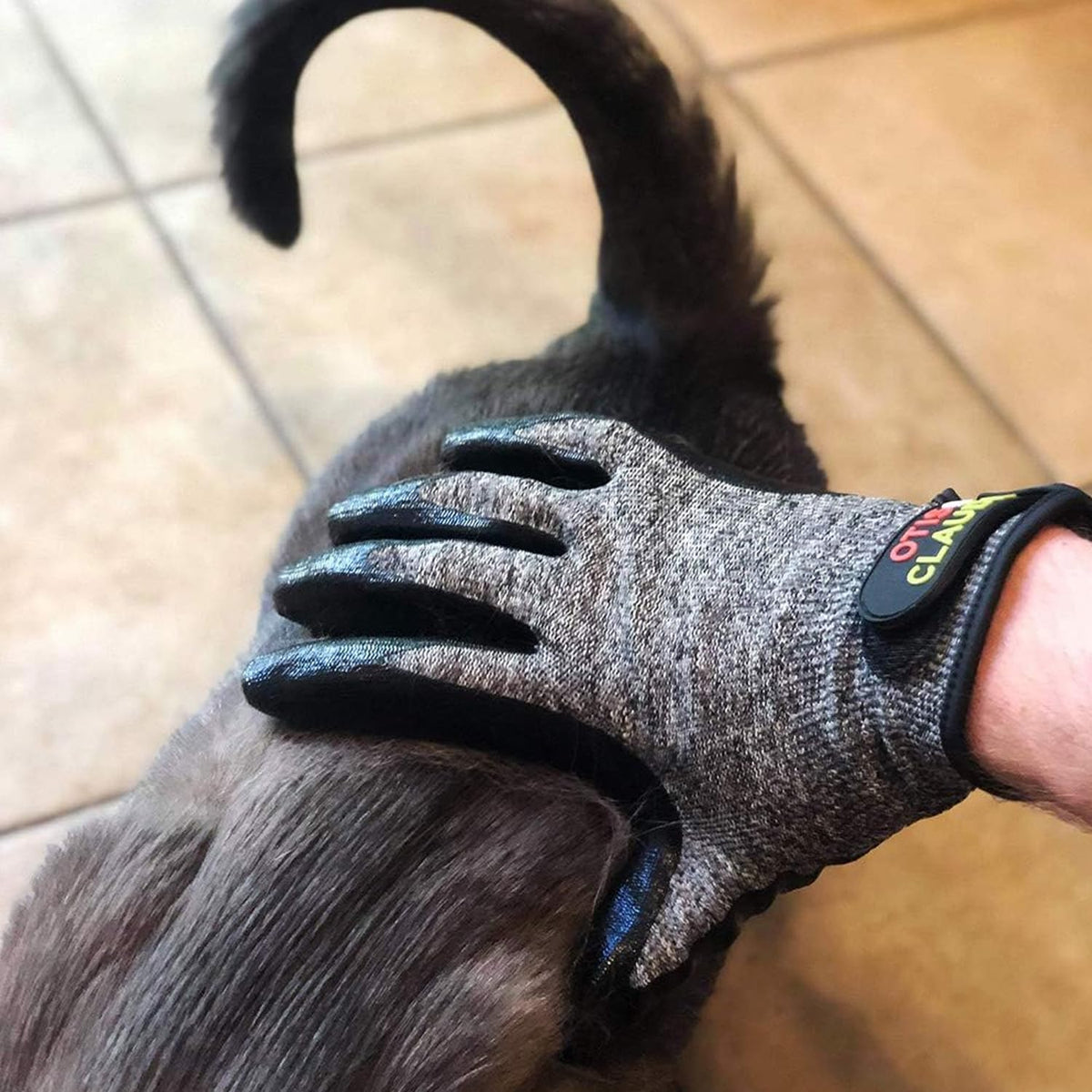 Pet Grooming Gloves for Dogs & Cats – Deshedding Brush and Bathing Mitt with Soft Silicone Tips - Removes Loose Hair, Dirt & Dander - Gentle Massage Grooming Tool - Adjustable Fit 1 Pack