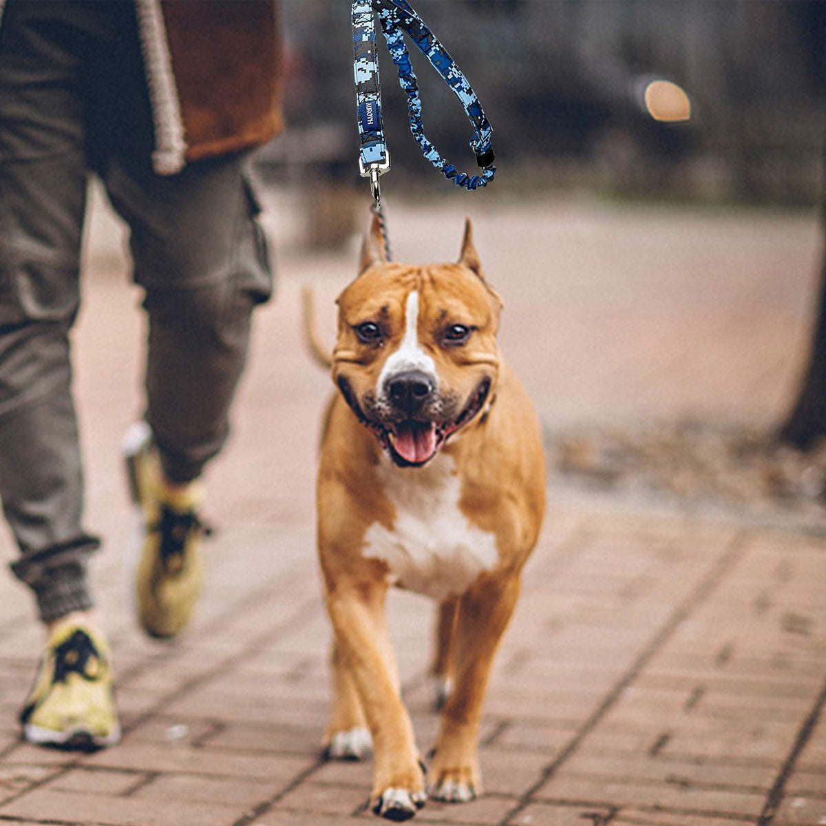 AUROTH Bungee Dog Leash for Large Dogs, No Pull for Shock Absorption Army Yellow MAX: 4.5 FT