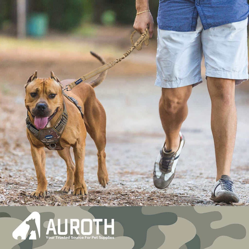 AUROTH Bungee Dog Leash for Large Dogs, No Pull Shock Absorption