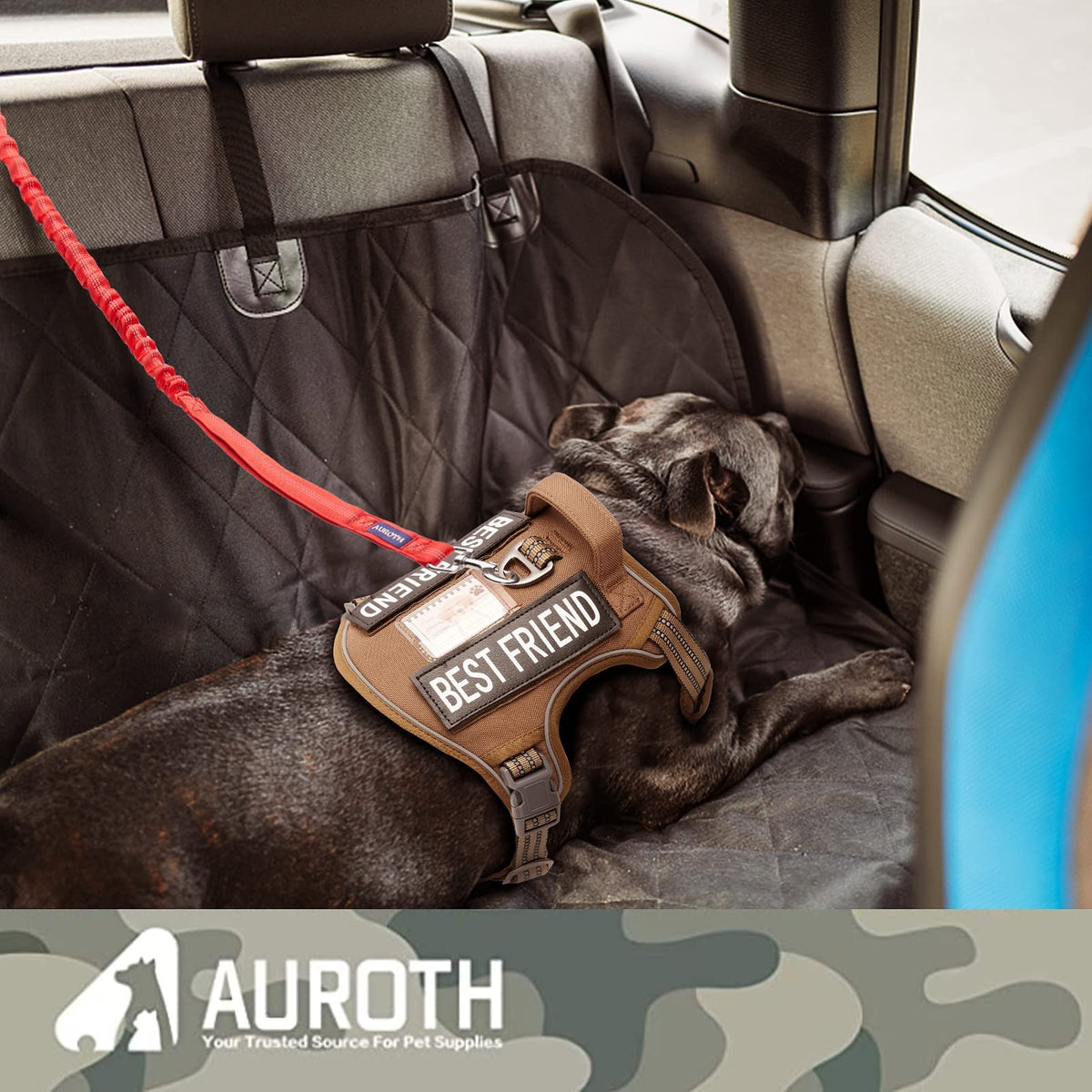 AUROTH Bungee Dog Leash for Large Dogs, No Pull for Shock Absorption Army Yellow MAX: 4.5 FT