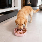 Ceramic Slow Feeder Dog Bowl, 3 Cup Dog Food or 25oz Water, Slow Eating Bowl for Middle Breed, Maze Puzzle Feeder for Fast Eaters, Anti-Choking Stop Bloat, Non-Slip BPA Free (White) White