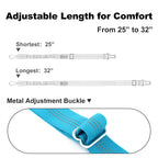 Dog Seat Belt for Car, Car Harness with Locking Aluminum Hook Gray