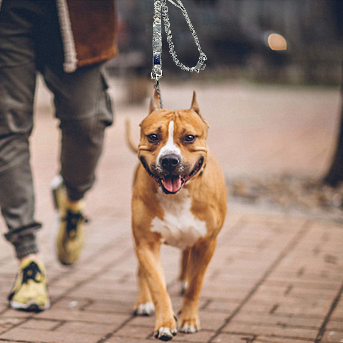 AUROTH Bungee Dog Leash for Large Dogs, No Pull for Shock Absorption Army Yellow MAX: 4.5 FT