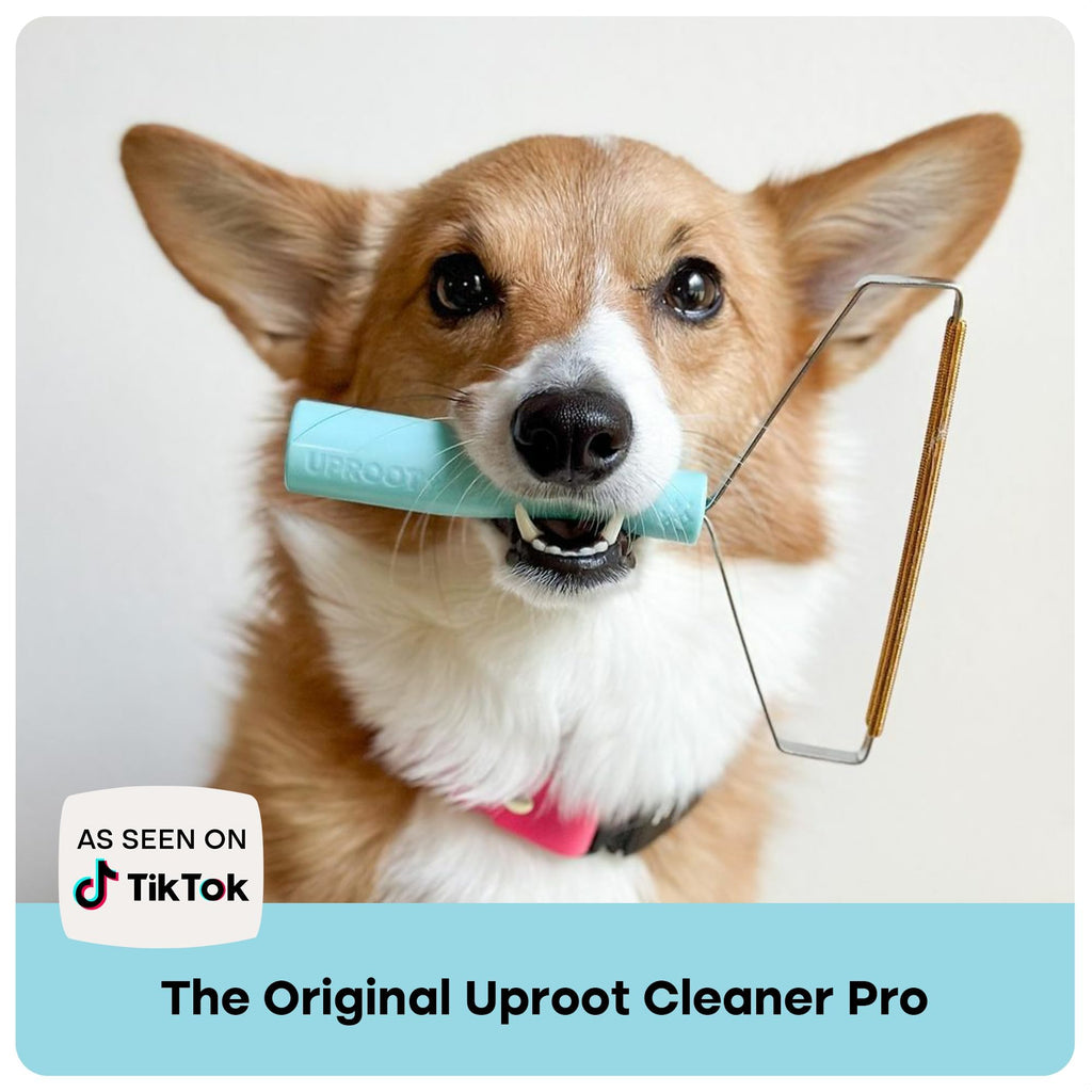 Uproot Clean Pro Pet Hair Removal Tool - Multi-Fabric Edge, Carpet Rake