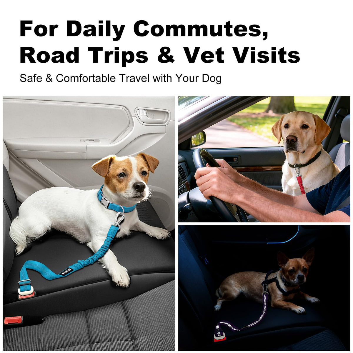 Dog Seat Belt for Car, Car Harness with Locking Aluminum Hook Purple