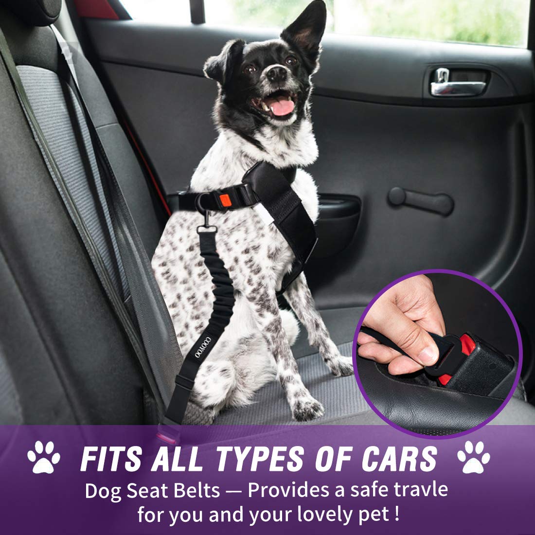 COOYOO Dog Seat Belt,3 Piece Set Retractable Dog Car Harness Adjustable for Vehicle Nylon Pet Safety Heavy Duty & Elastic Set 03-Black+Blue