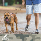AUROTH Bungee Dog Leash for Large Dogs, No Pull for Shock Absorption Army Yellow MAX: 4.5 FT