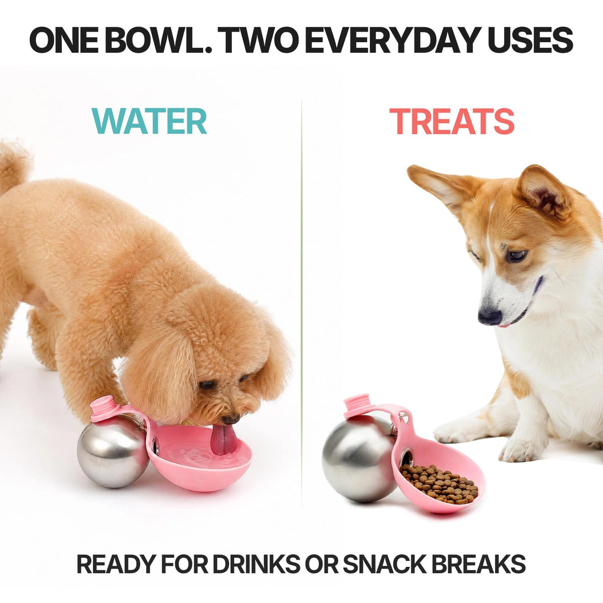 Portable Stainless Steel Dog Water Bottle with Foldable Silicone Bowl