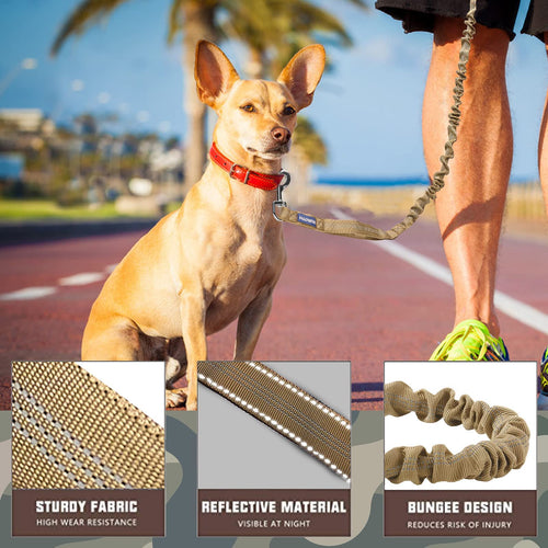 AUROTH Bungee Dog Leash for Large Dogs, No Pull Shock Absorption