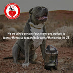 Large Portable Dog Water Bottle with Pull-Out Drinking Bowl