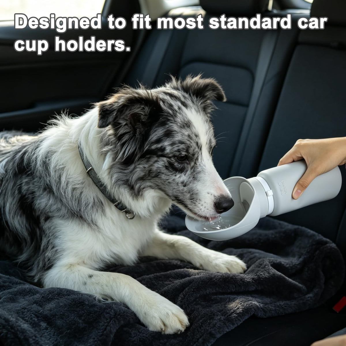 Portable Water Bottle for Dogs, Water Bottle for Walking Hiking and Outdoor