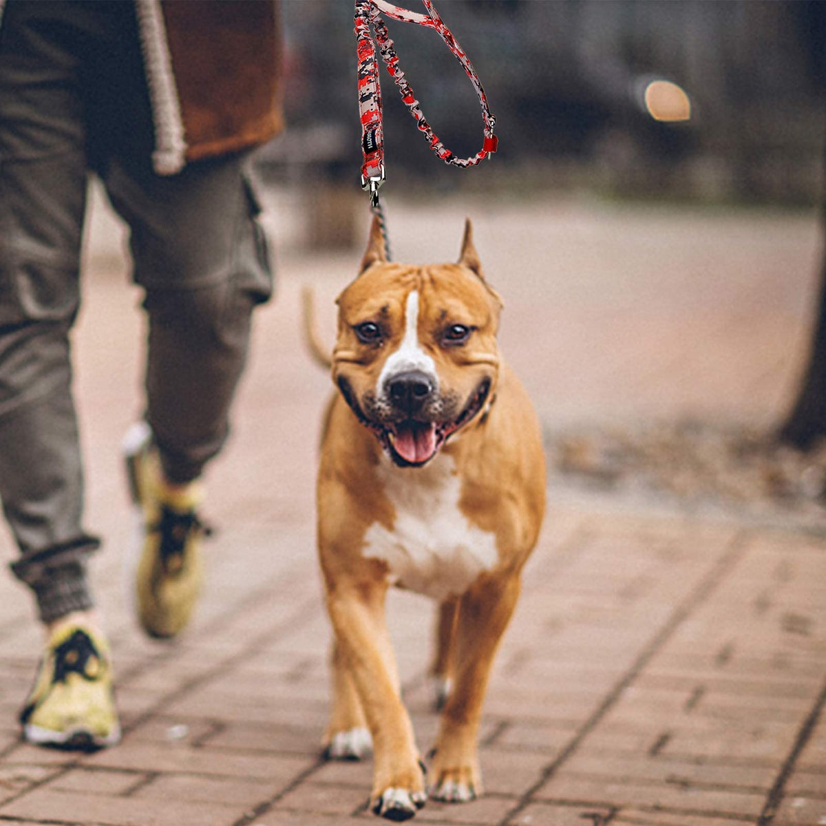 AUROTH Bungee Dog Leash for Large Dogs, No Pull for Shock Absorption Army Yellow MAX: 4.5 FT
