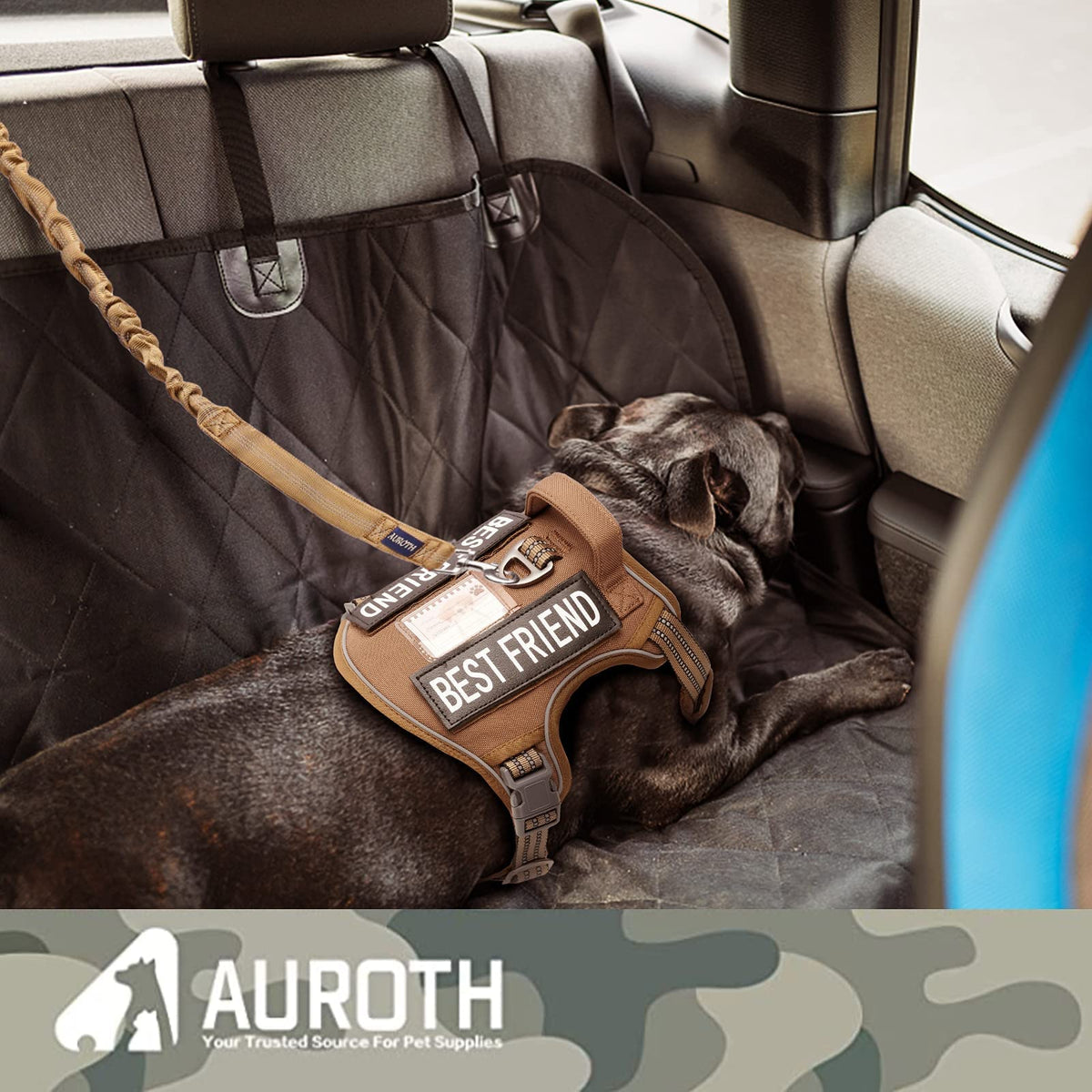 AUROTH Bungee Dog Leash for Large Dogs, No Pull Shock Absorption
