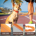 AUROTH Bungee Dog Leash for Large Dogs, No Pull for Shock Absorption Army Yellow MAX: 4.5 FT