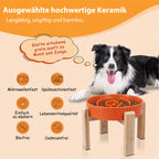 Elevated Slow Feeder Dog Bowl, 6.7" Ceramic Maze Dog Bowl with Stand White 1.5 Cups