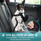 COOYOO Dog Seat Belt,3 Piece Set Retractable Dog Car Harness Adjustable for Vehicle Nylon Pet Safety Heavy Duty & Elastic Set 03-Black+Blue