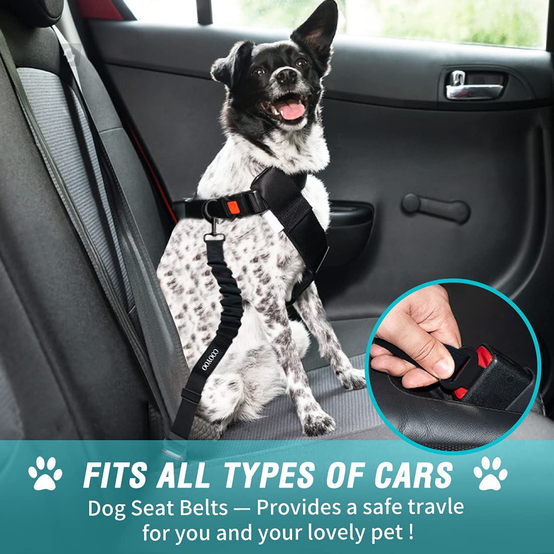 COOYOO Dog Seat Belt,3 Piece Set Retractable Dog Car Harness Adjustable for Vehicle Nylon Pet Safety Heavy Duty & Elastic Set 03-Black+Blue