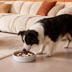 Ceramic Slow Feeder Dog Bowl, 3 Cup Dog Food or 25oz Water, Slow Eating Bowl for Middle Breed, Maze Puzzle Feeder for Fast Eaters, Anti-Choking Stop Bloat, Non-Slip BPA Free (White) White