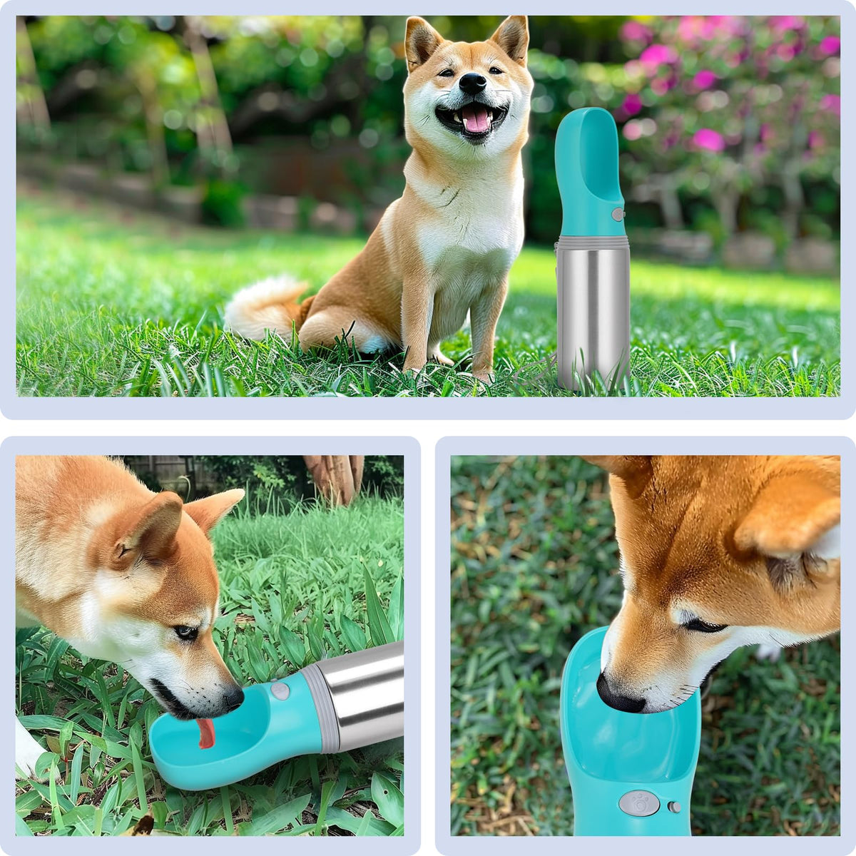 Portable Dog Water Bottle, 14 OZ Stainless Steel Pet Water Dispenser Button switch 14 OZ - Blue