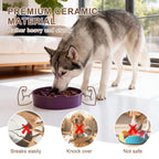 Ceramic Slow Feeder Dog Bowl, 3 Cup Dog Food or 25oz Water, Slow Eating Bowl for Middle Breed, Maze Puzzle Feeder for Fast Eaters, Anti-Choking Stop Bloat, Non-Slip BPA Free (White) White