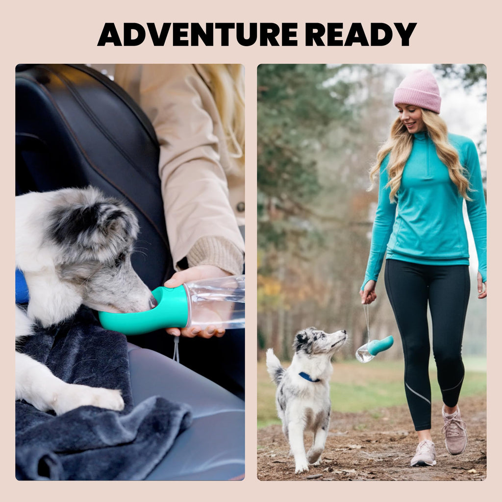 MalsiPree Dog Water Bottle Dispenser - 12 oz Navy Blue, Leak-Proof