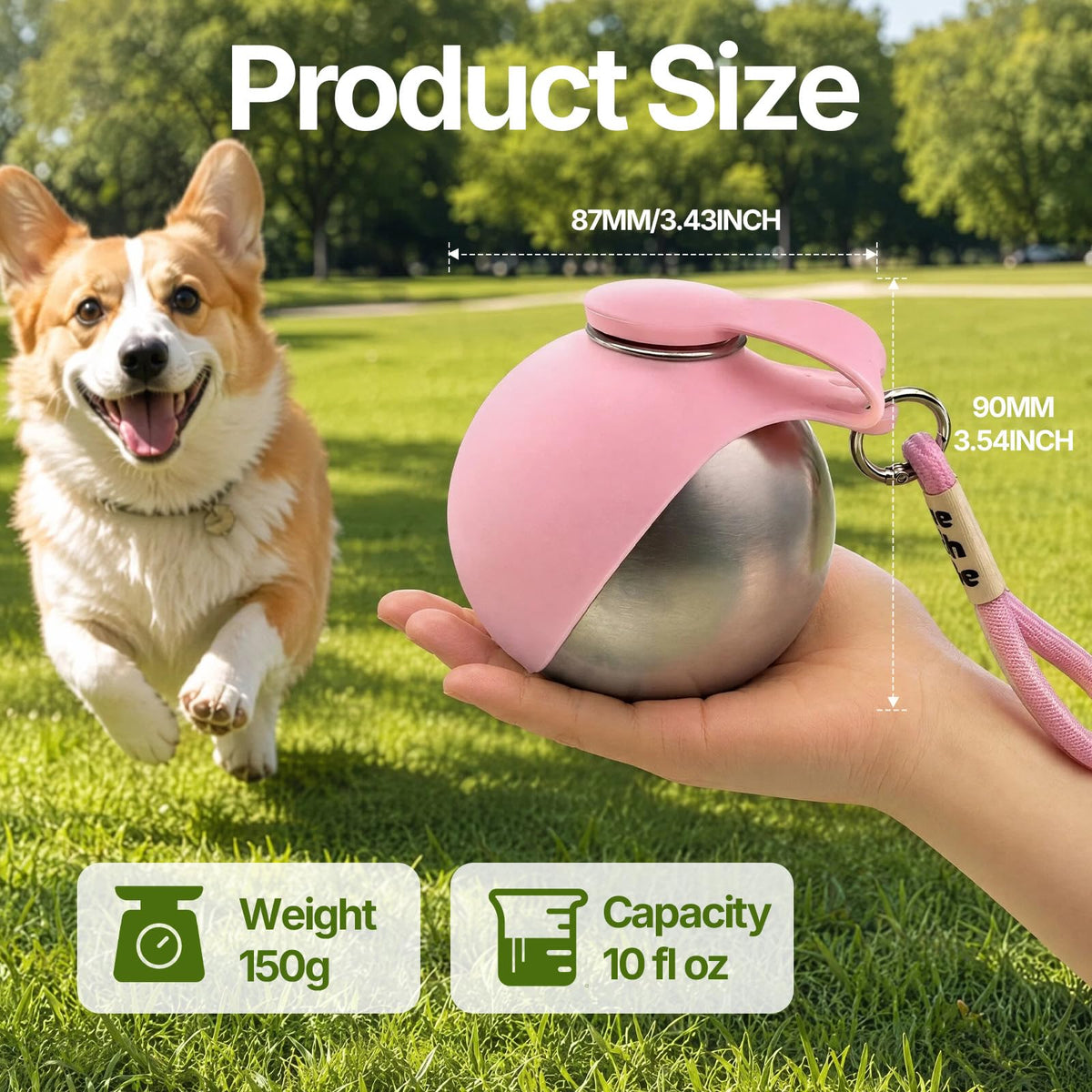 Portable Stainless Steel Dog Water Bottle with Foldable Silicone Bowl
