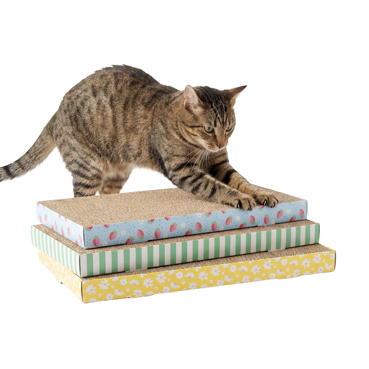 Kitty City Cat Scratcher– 2-Pack Durable Corrugated Cardboard Scratch Pads...