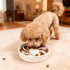 Ceramic Slow Feeder Dog Bowl, 3 Cup Dog Food or 25oz Water, Slow Eating Bowl for Middle Breed, Maze Puzzle Feeder for Fast Eaters, Anti-Choking Stop Bloat, Non-Slip BPA Free (White) White
