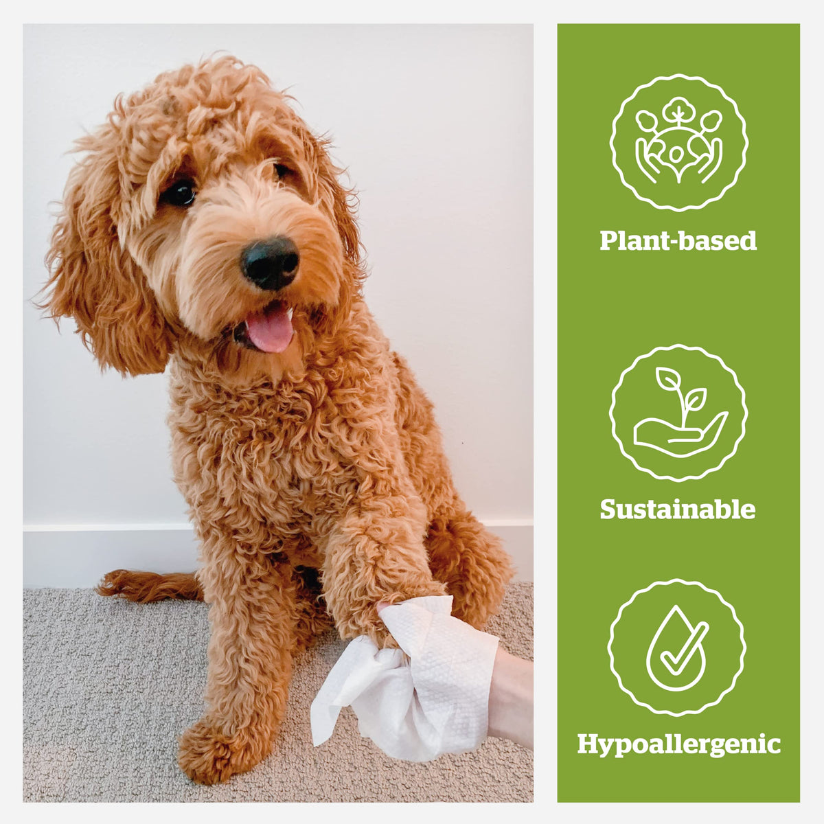 Pogi's Dog Grooming Wipes for Paws & Butt, Fragrance Free, 100 Wipes 100-Count Wipes Unscented