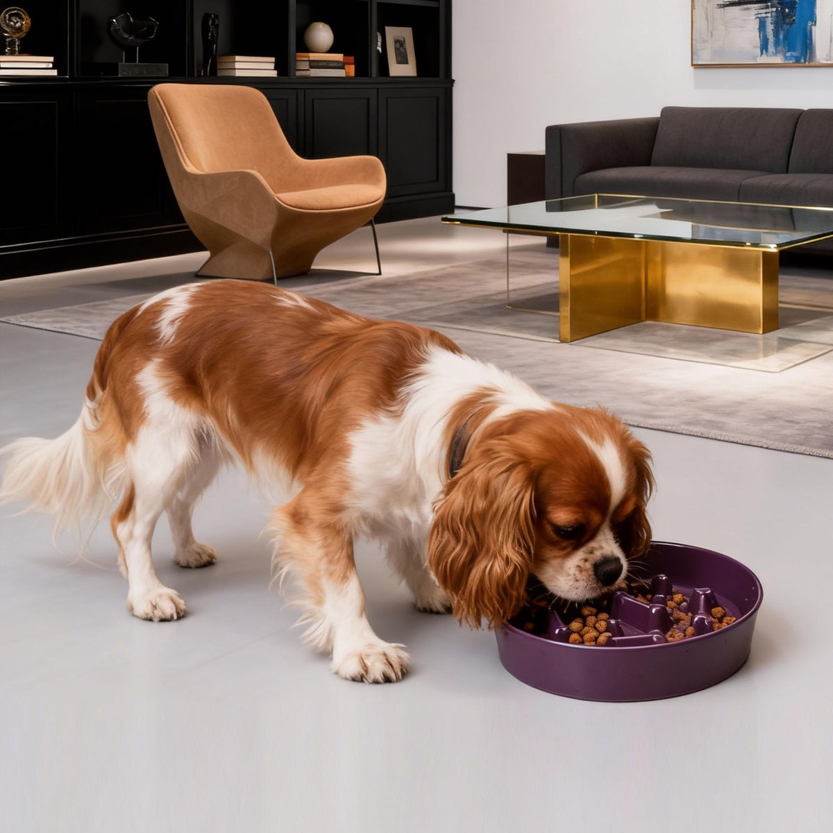 Ceramic Slow Feeder Dog Bowl, 3 Cup Dog Food or 25oz Water, Slow Eating Bowl for Middle Breed, Maze Puzzle Feeder for Fast Eaters, Anti-Choking Stop Bloat, Non-Slip BPA Free (White) White