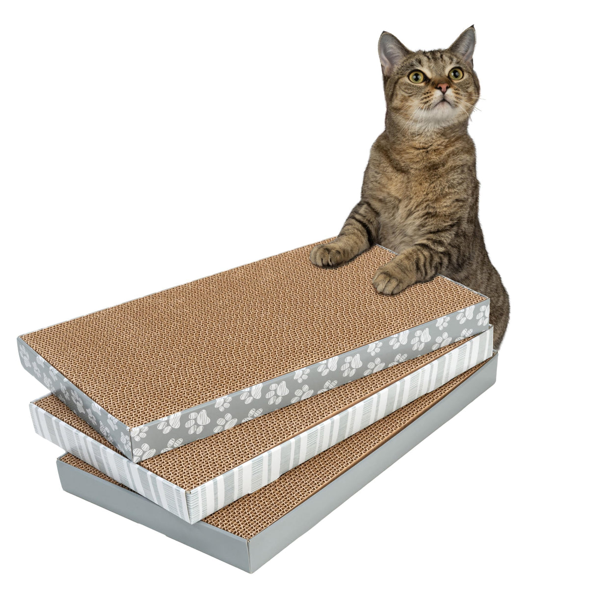 Kitty City Cat Scratcher– 2-Pack Durable Corrugated Cardboard Scratch Pads...