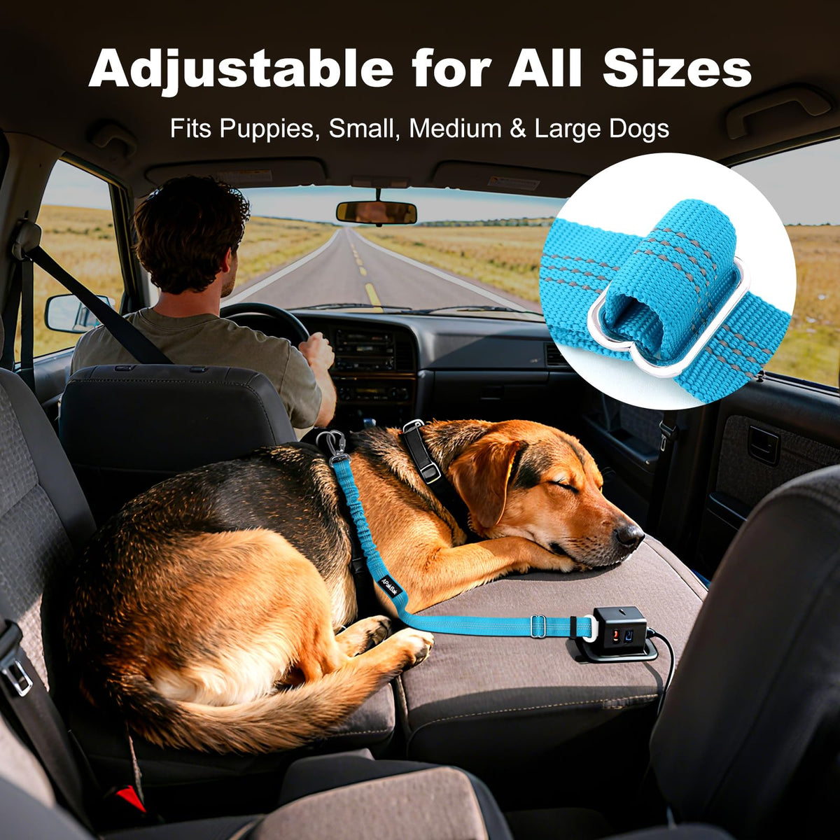 Dog Seat Belt for Car, Car Harness with Locking Aluminum Hook Gray