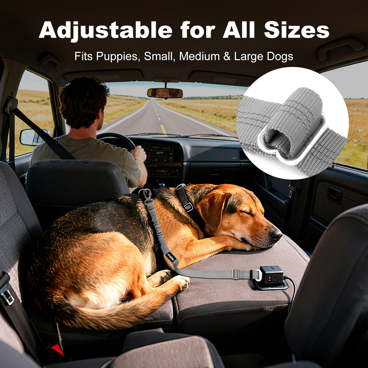 Dog Seat Belt for Car, Car Harness with Locking Aluminum Hook Purple