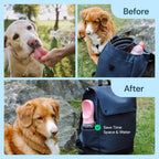 MalsiPree Dog Water Bottle Dispenser - 12 oz Black, Leak-Proof 12oz - Standard